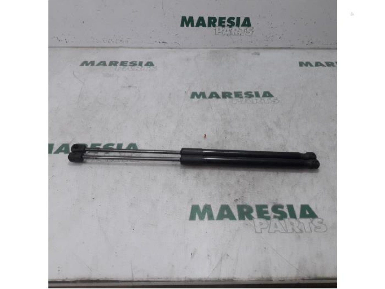 Renault - Megane - Set of tailgate gas struts