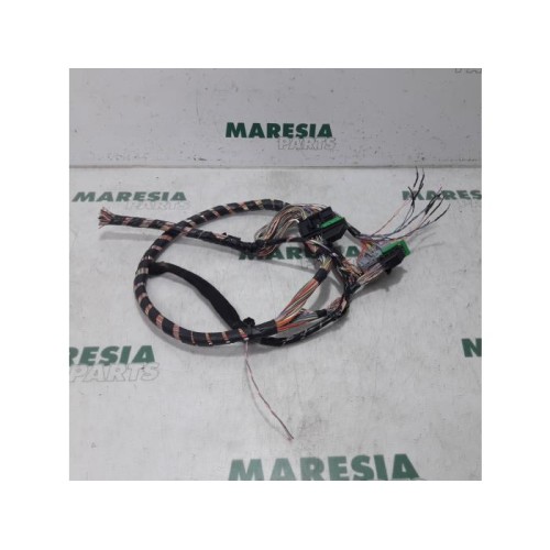 Renault - Megane - Wiring harness