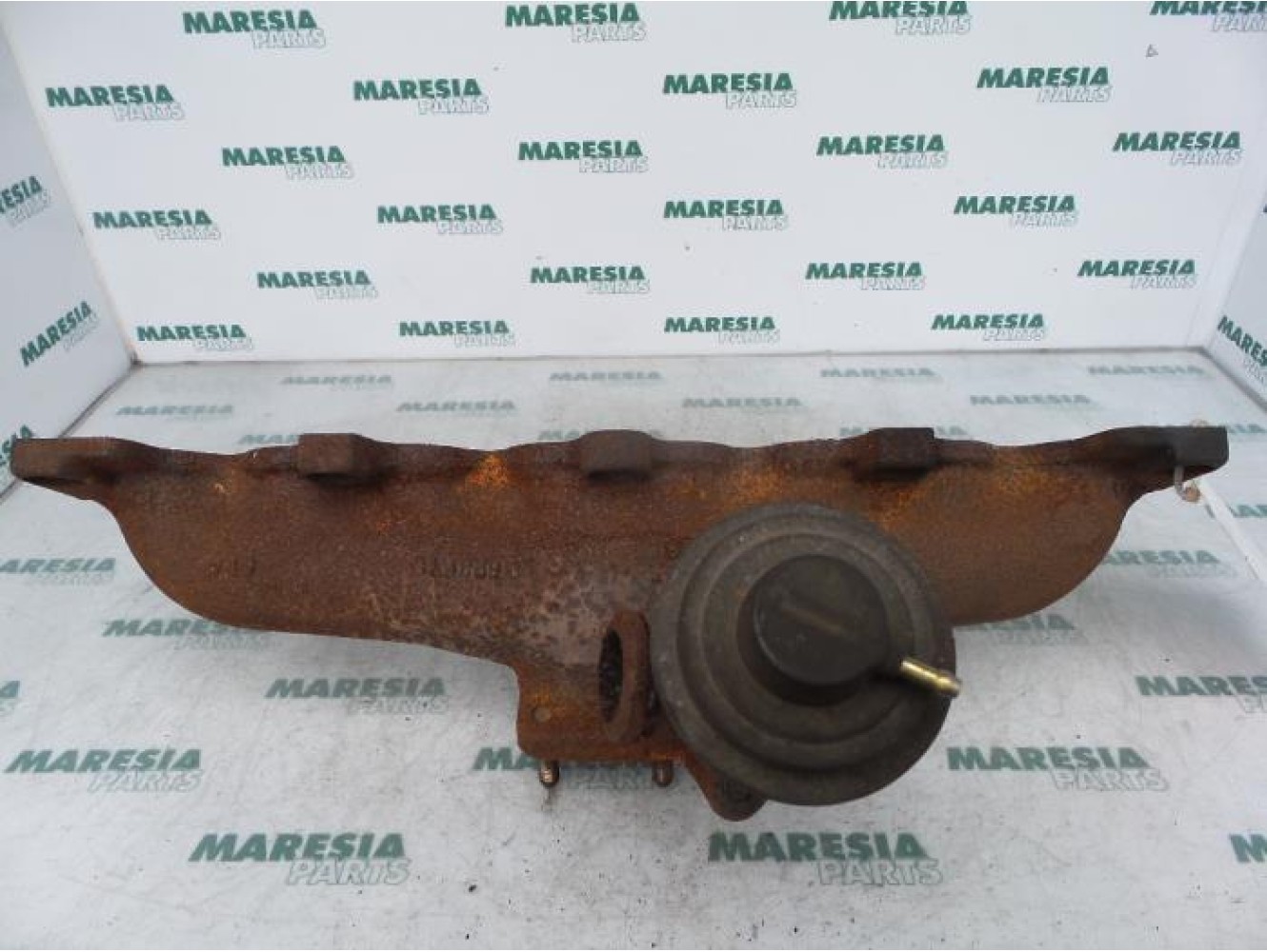 Fiat - Ulysse - Exhaust manifold