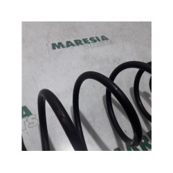 Fiat - Doblo - Rear coil spring