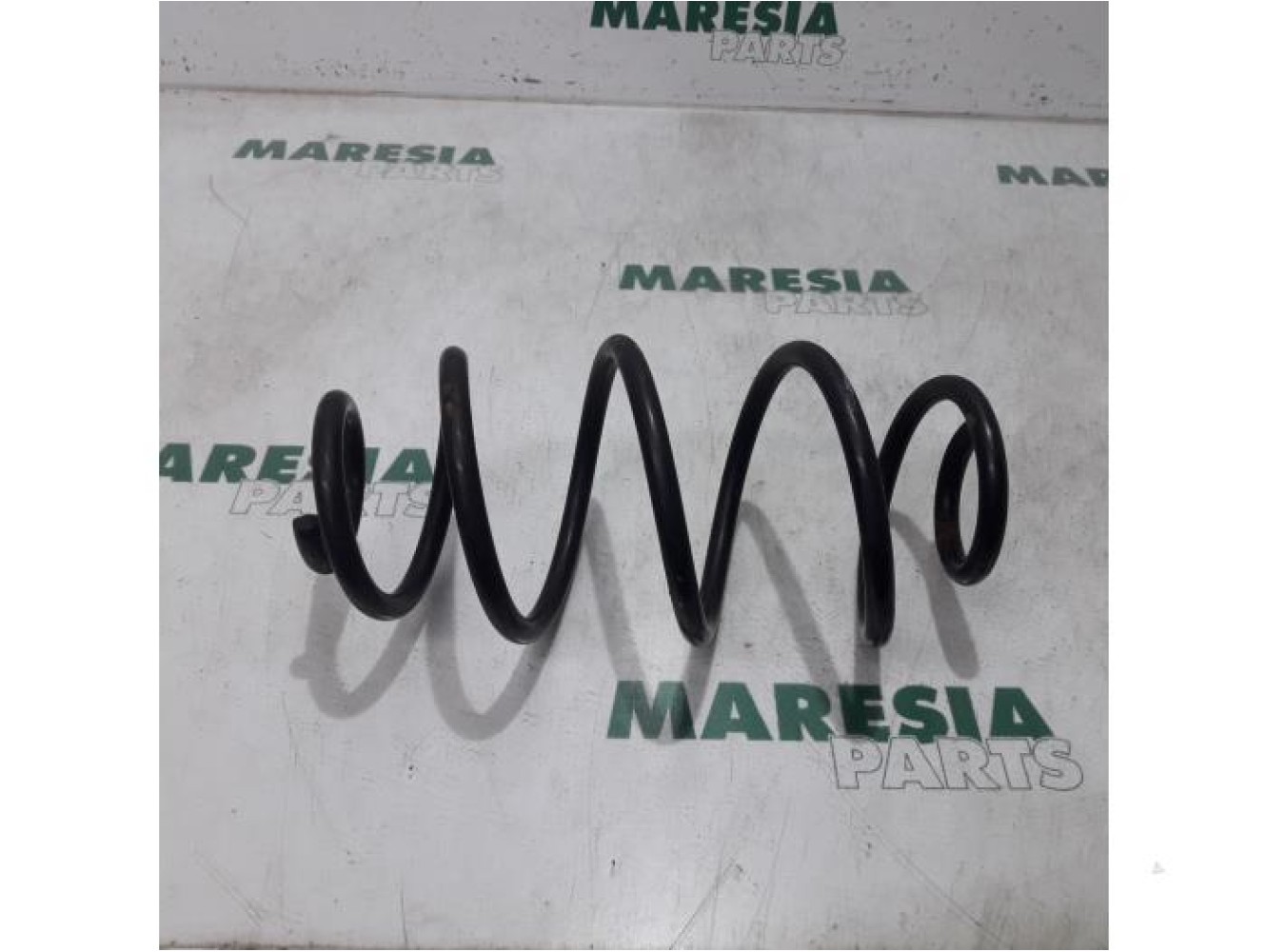 Fiat - Doblo - Rear coil spring