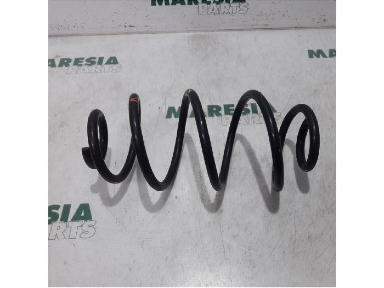 Fiat - Doblo - Rear coil spring