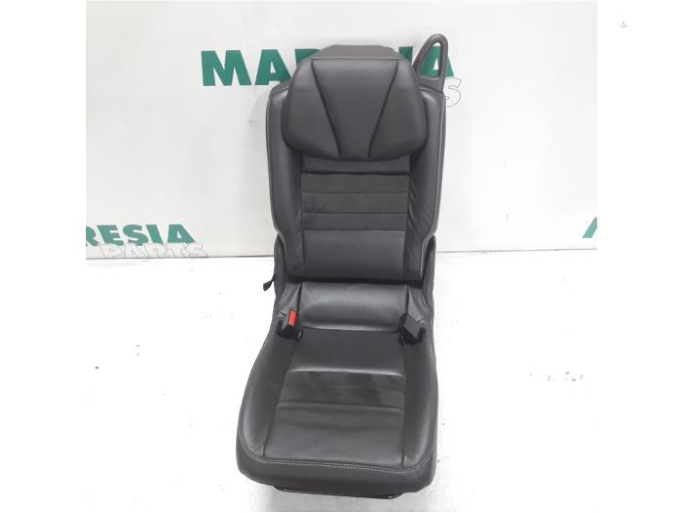 Renault - Megane Scenic - Rear seat