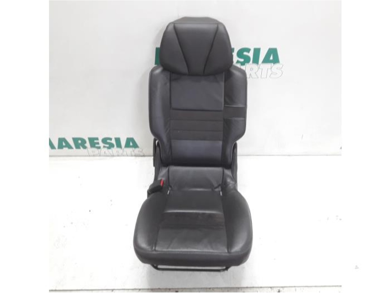 Renault - Megane Scenic - Rear seat