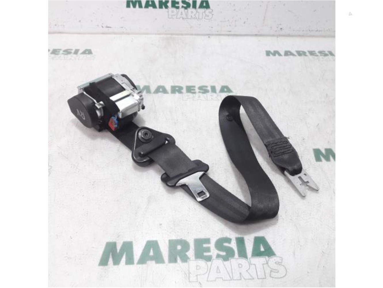 Renault - Megane Scenic - Ceinture de sécurité avant droite