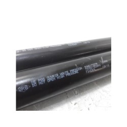 Renault - Megane Scenic - Set of tailgate gas struts