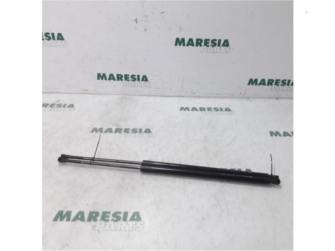Renault - Megane Scenic - Set of tailgate gas struts