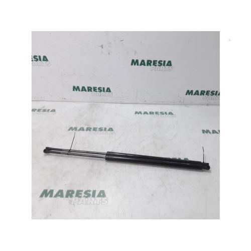Renault - Megane Scenic - Set of tailgate gas struts