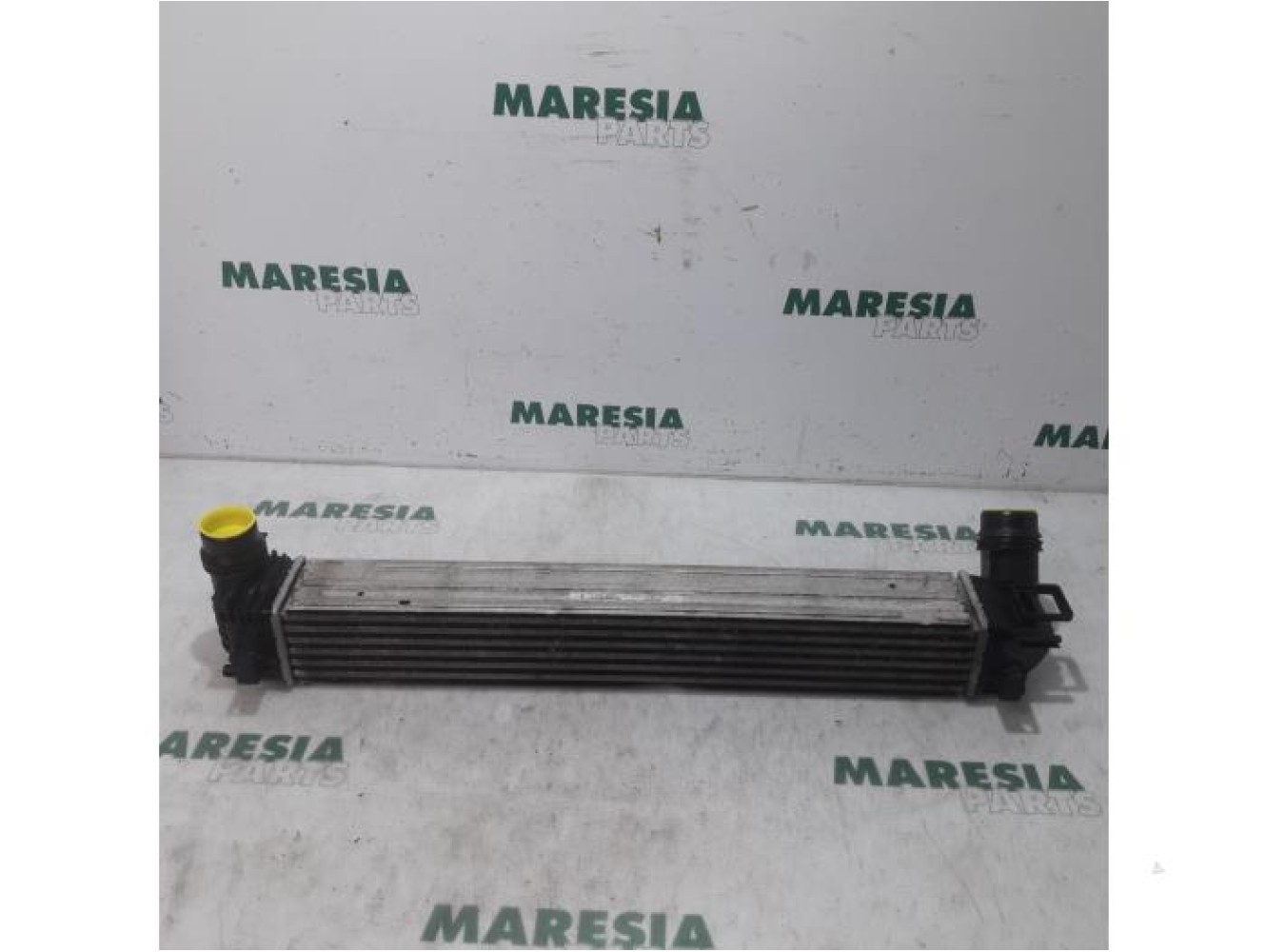 Renault - Megane Scenic - Intercooler