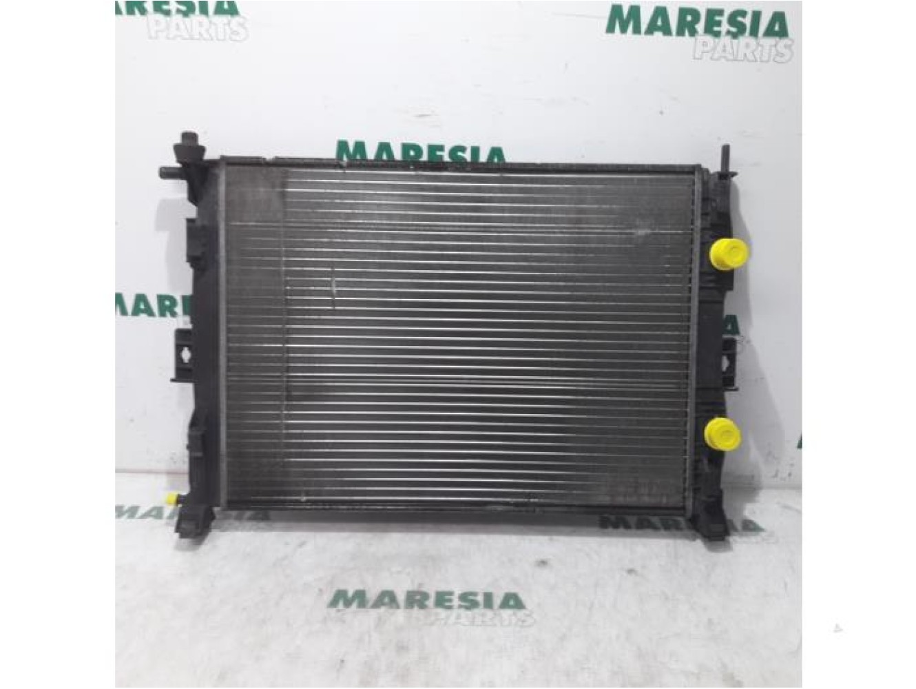 Renault - Megane Scenic - Radiateur