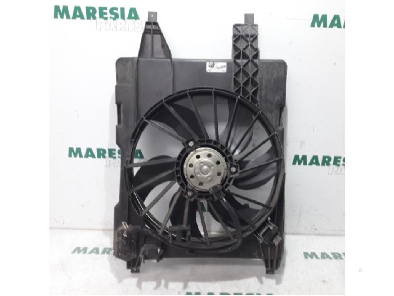 Renault - Megane Scenic - Kühlgebläse Motor