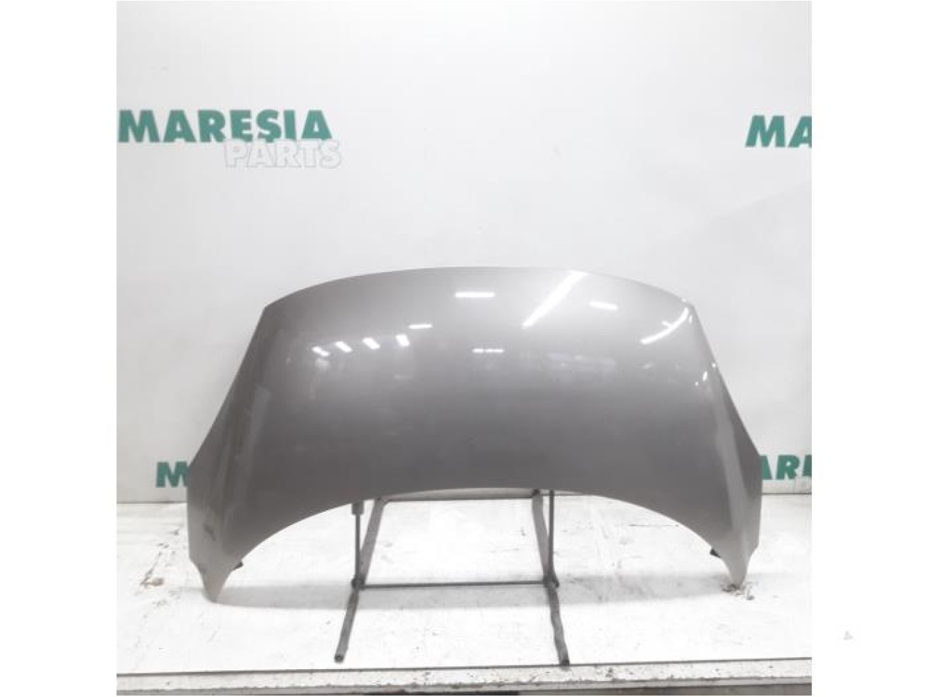 Renault - Scenic - Motorhaube