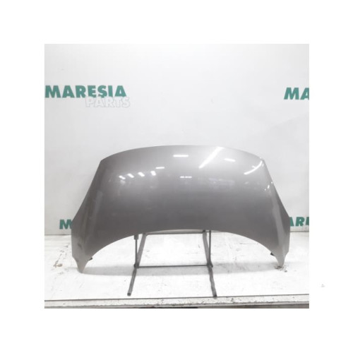 Renault - Scenic - Motorhaube