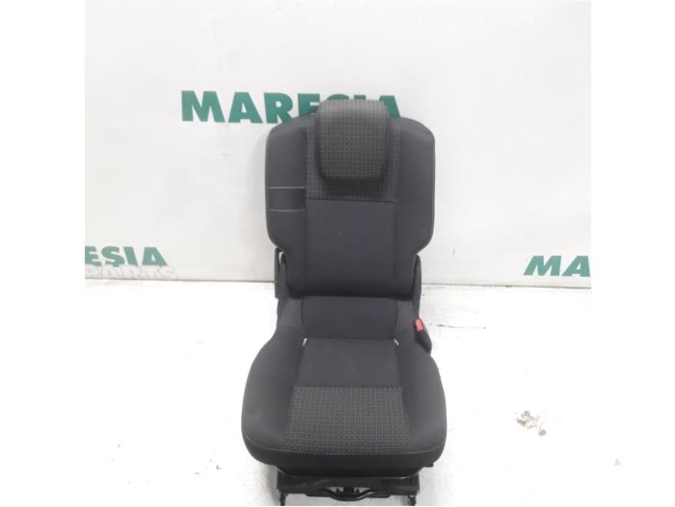 Renault - Scenic - Rear seat