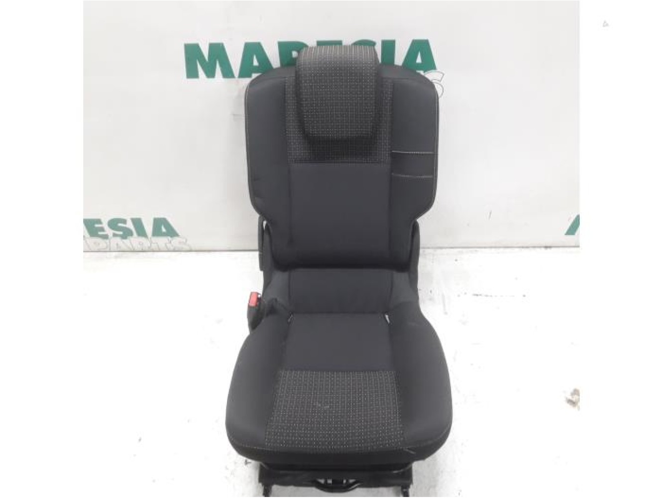 Renault - Scenic - Rear seat
