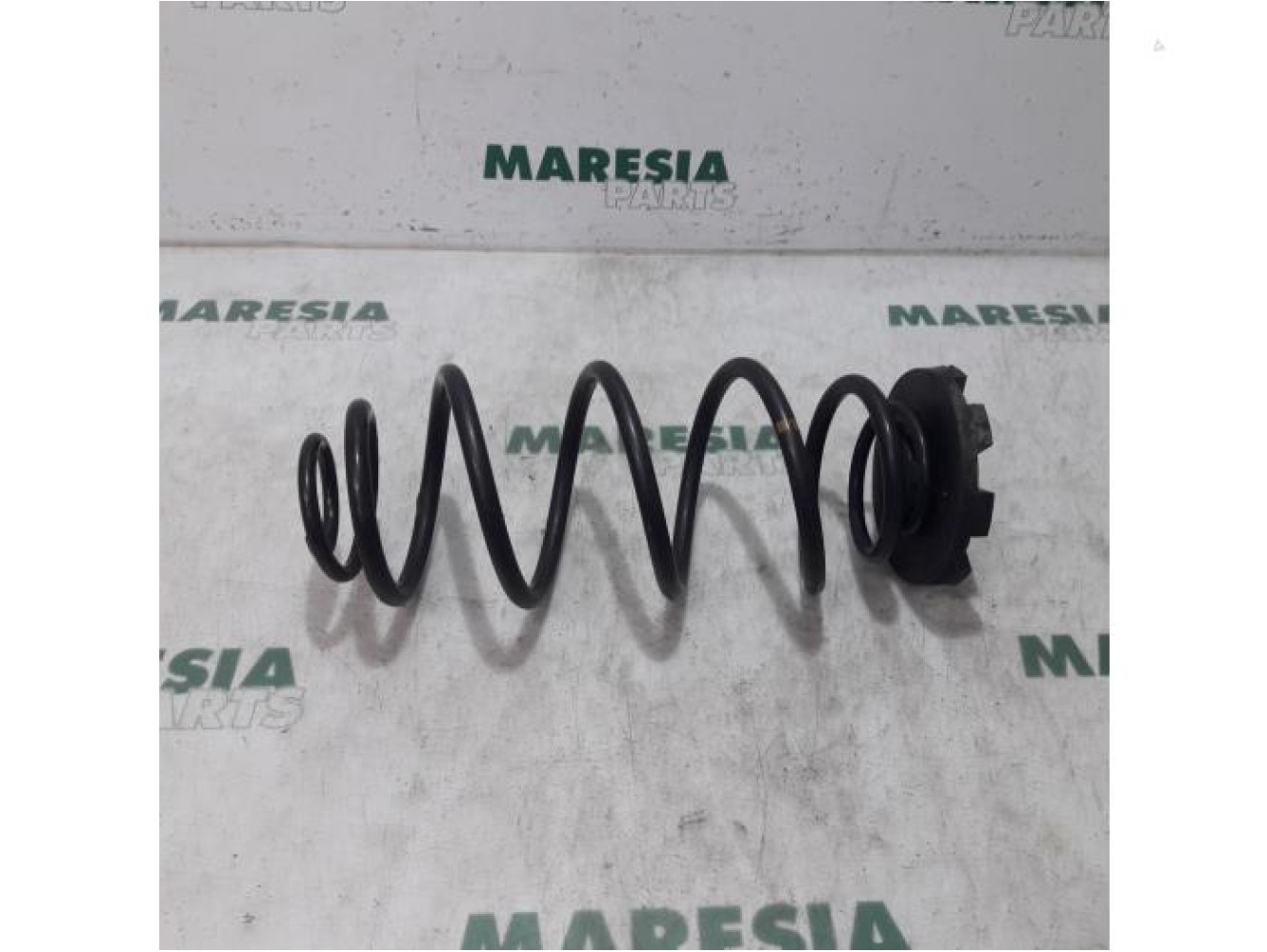 Renault - Espace - Rear coil spring