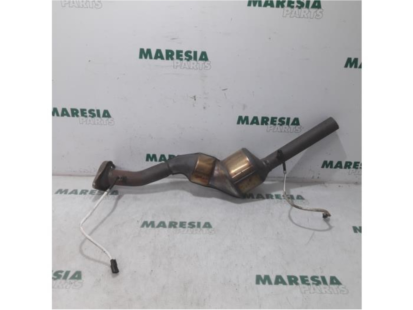 Renault - Scenic - Catalyseur