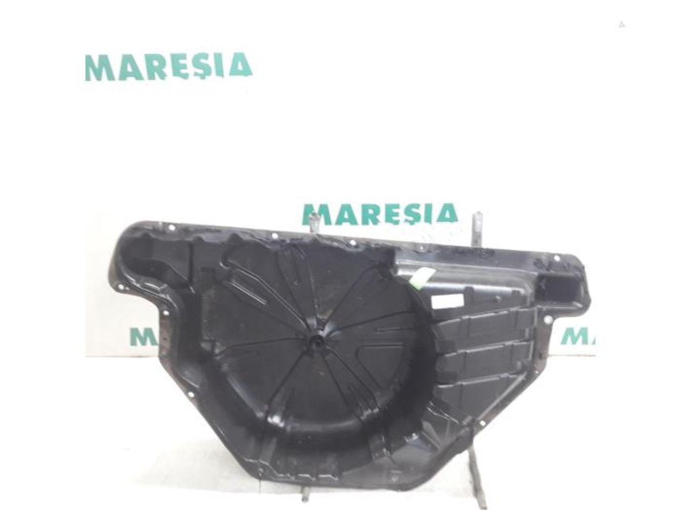 Renault - Scenic - Spare wheel holder