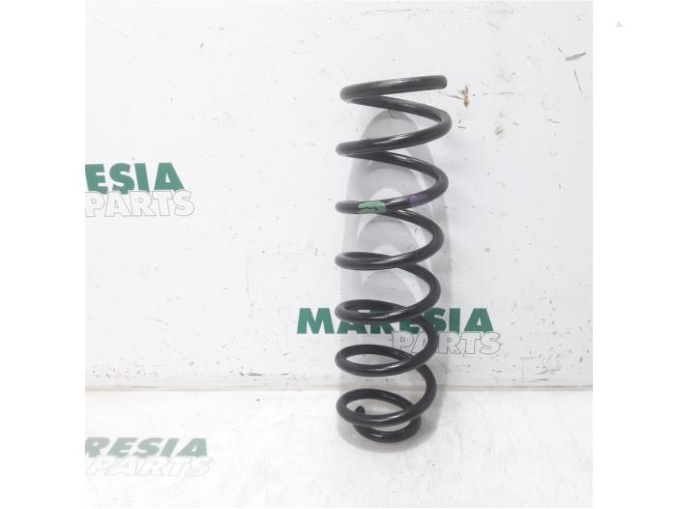 Renault - Scenic - Rear coil spring