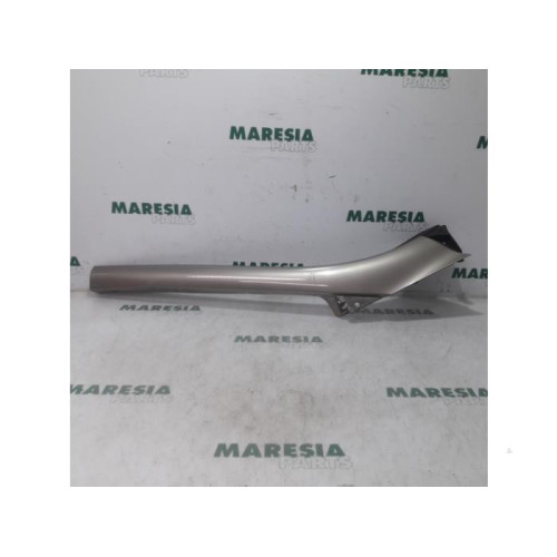 Renault - Scenic - Protection montant A droit