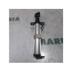 Renault - Scenic - Buse phare