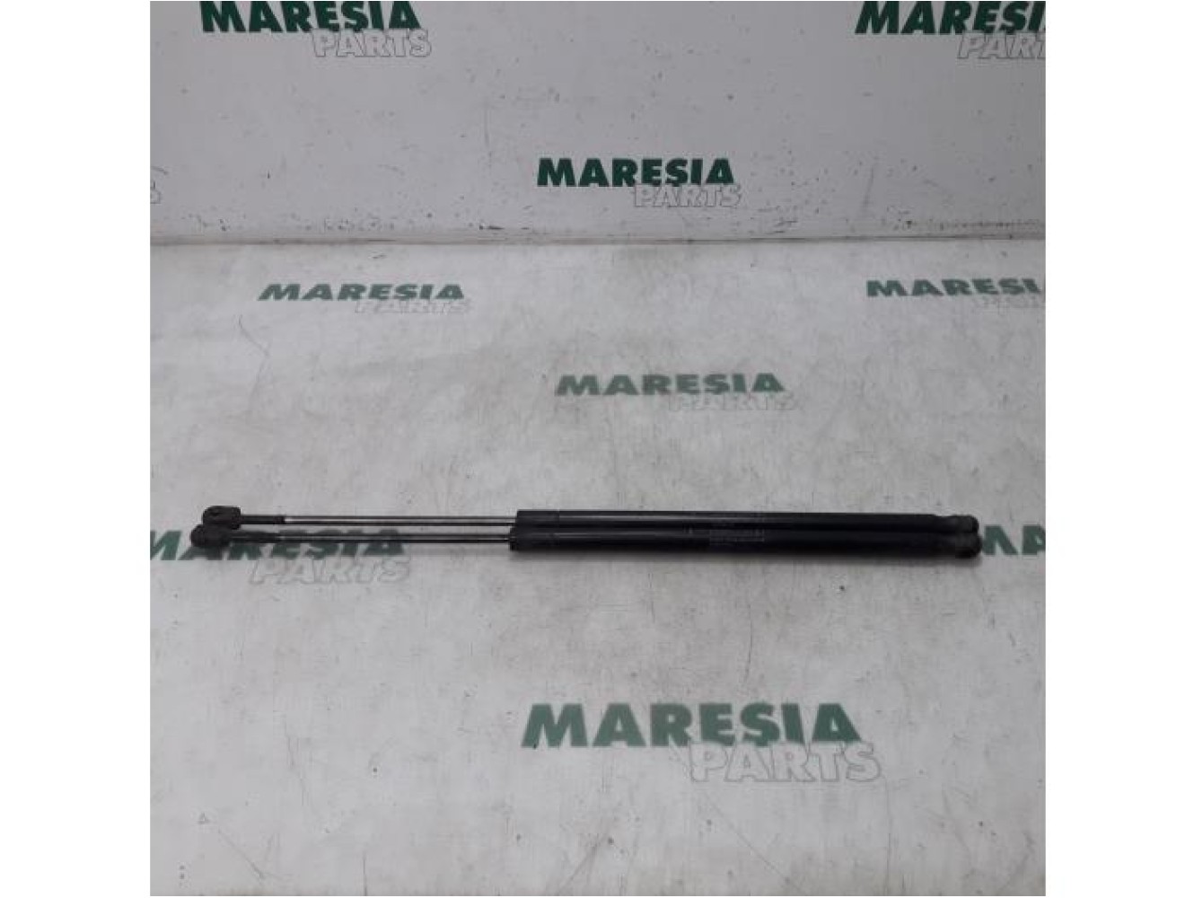 Fiat - Qubo - Set of tailgate gas struts