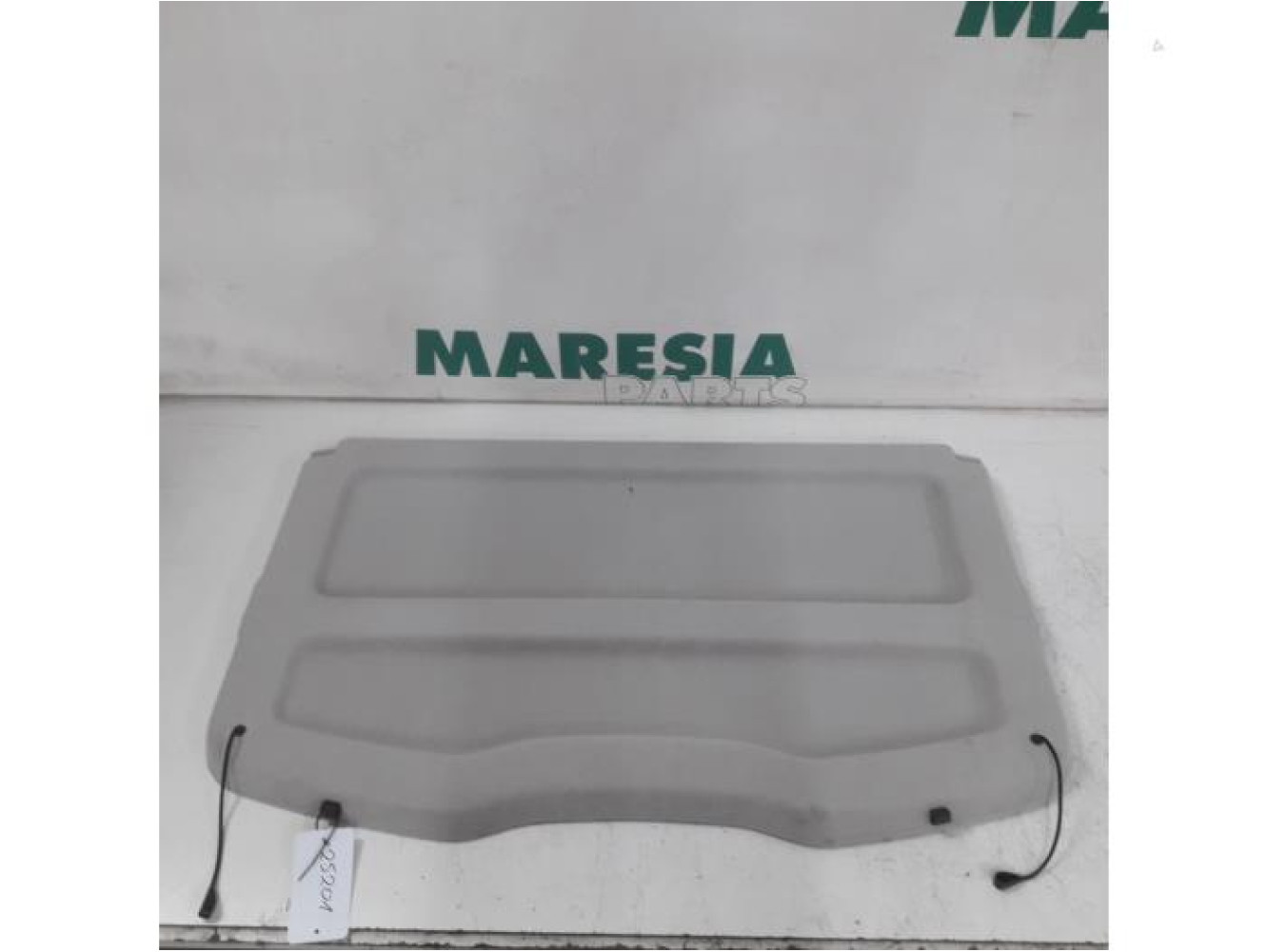 Renault - Scenic - Hoedenplank