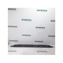 Citroen - Berlingo - Radiator bar