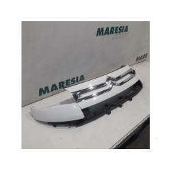 Citroen - Berlingo - Grill