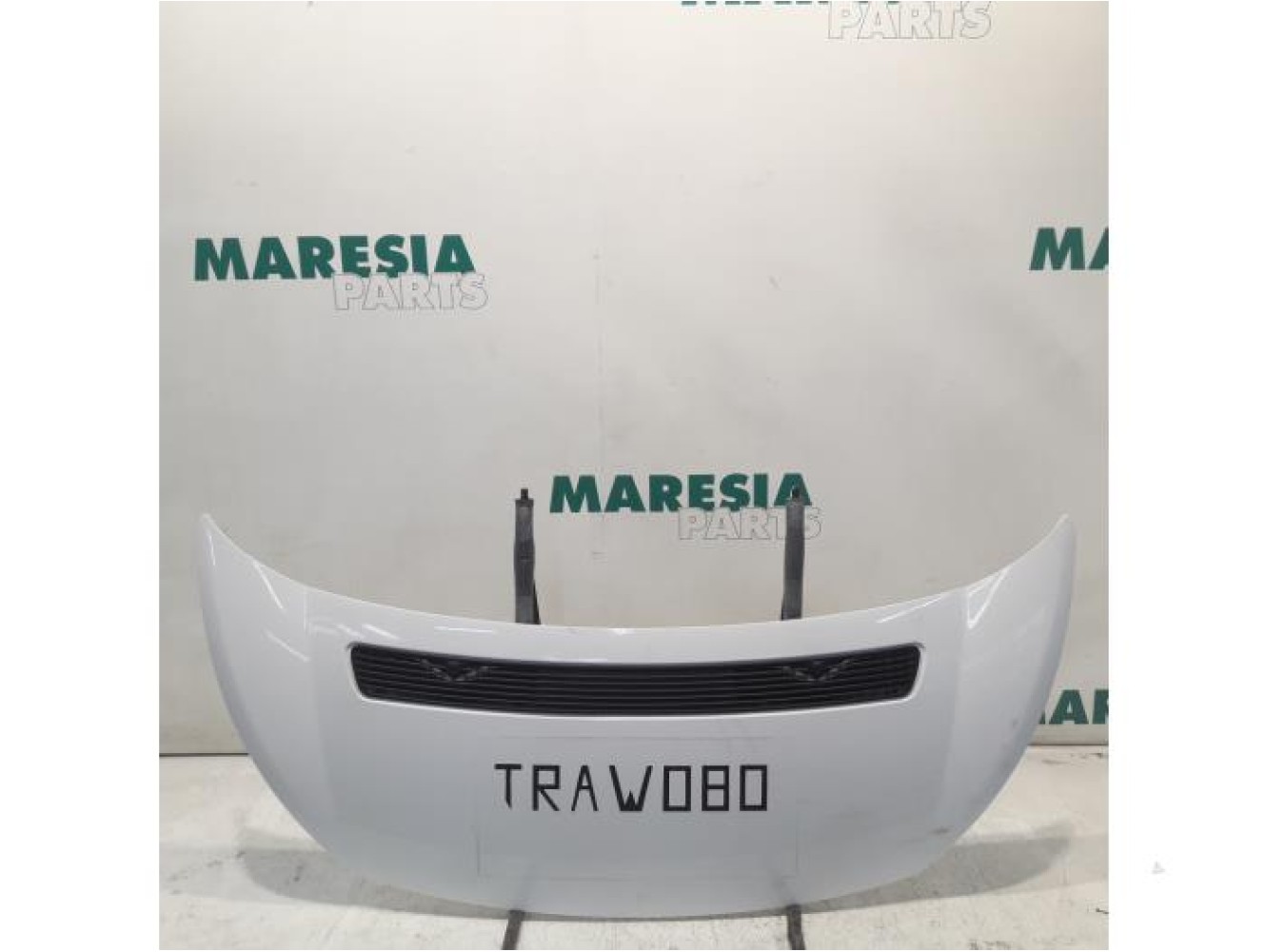 Fiat - Scudo - Motorhaube