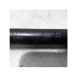 Renault - Espace - Set of tailgate gas struts