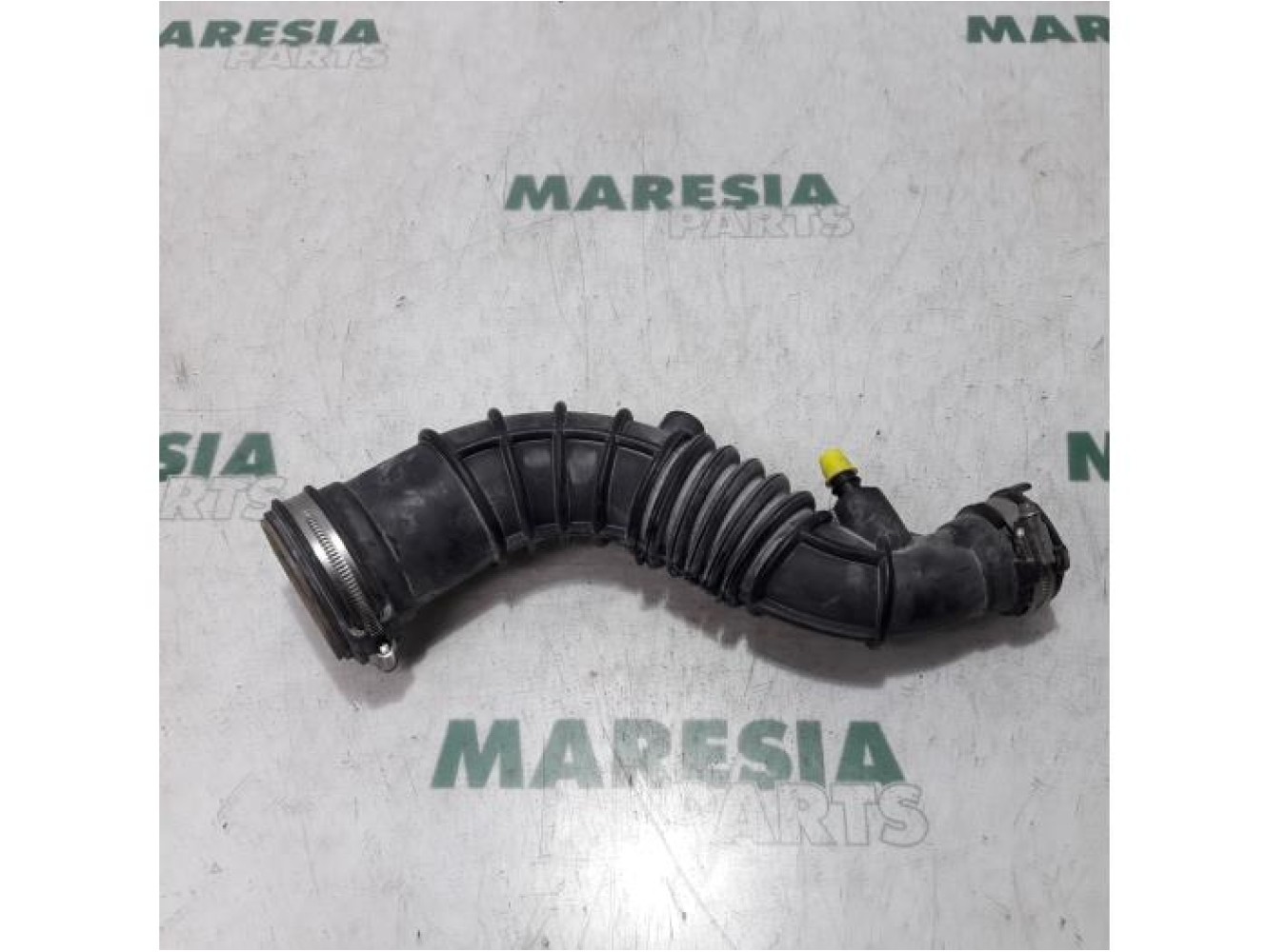 Renault - Megane - Turbo hose