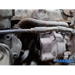 Fiat - Panda - Engine