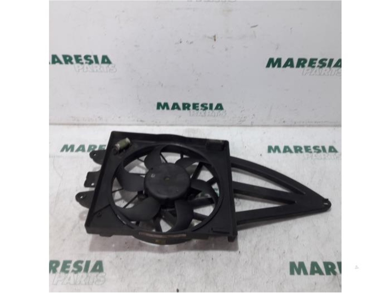Fiat - Panda - Kühlgebläse Motor