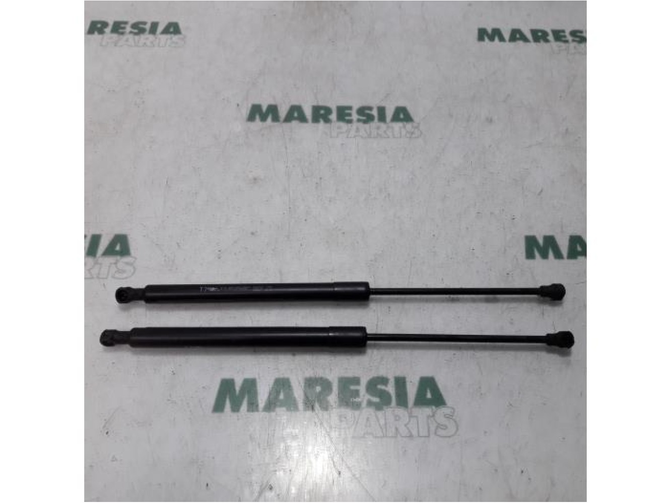 Peugeot - 308 - Set of tailgate gas struts