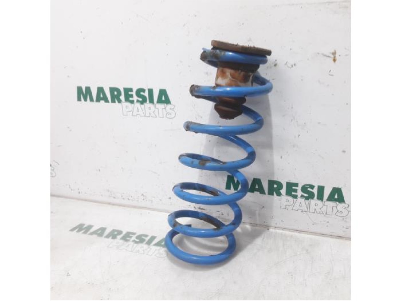 Citroen - Berlingo - Rear coil spring