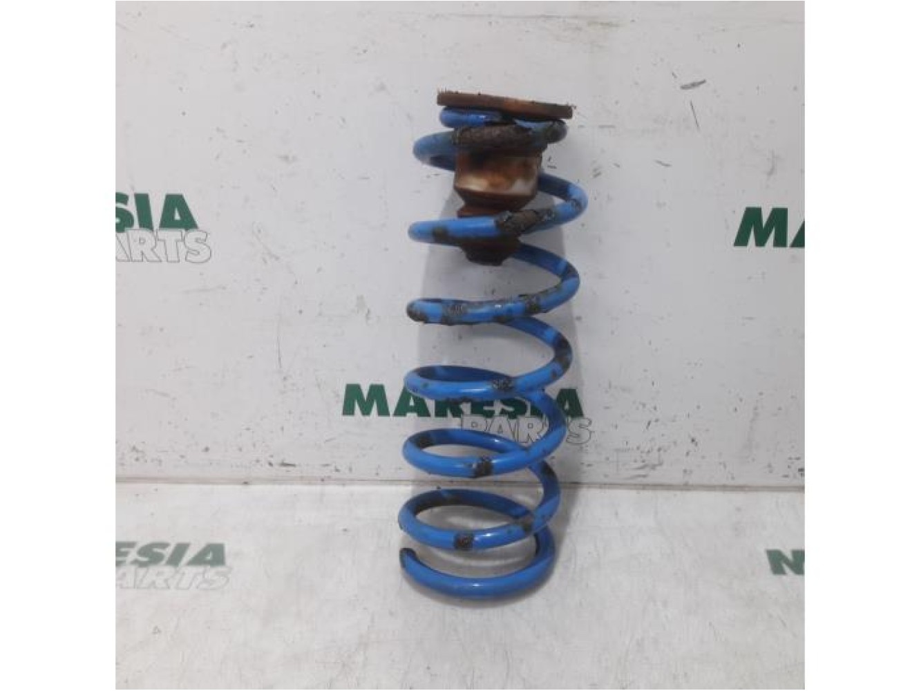 Citroen - Berlingo - Rear coil spring