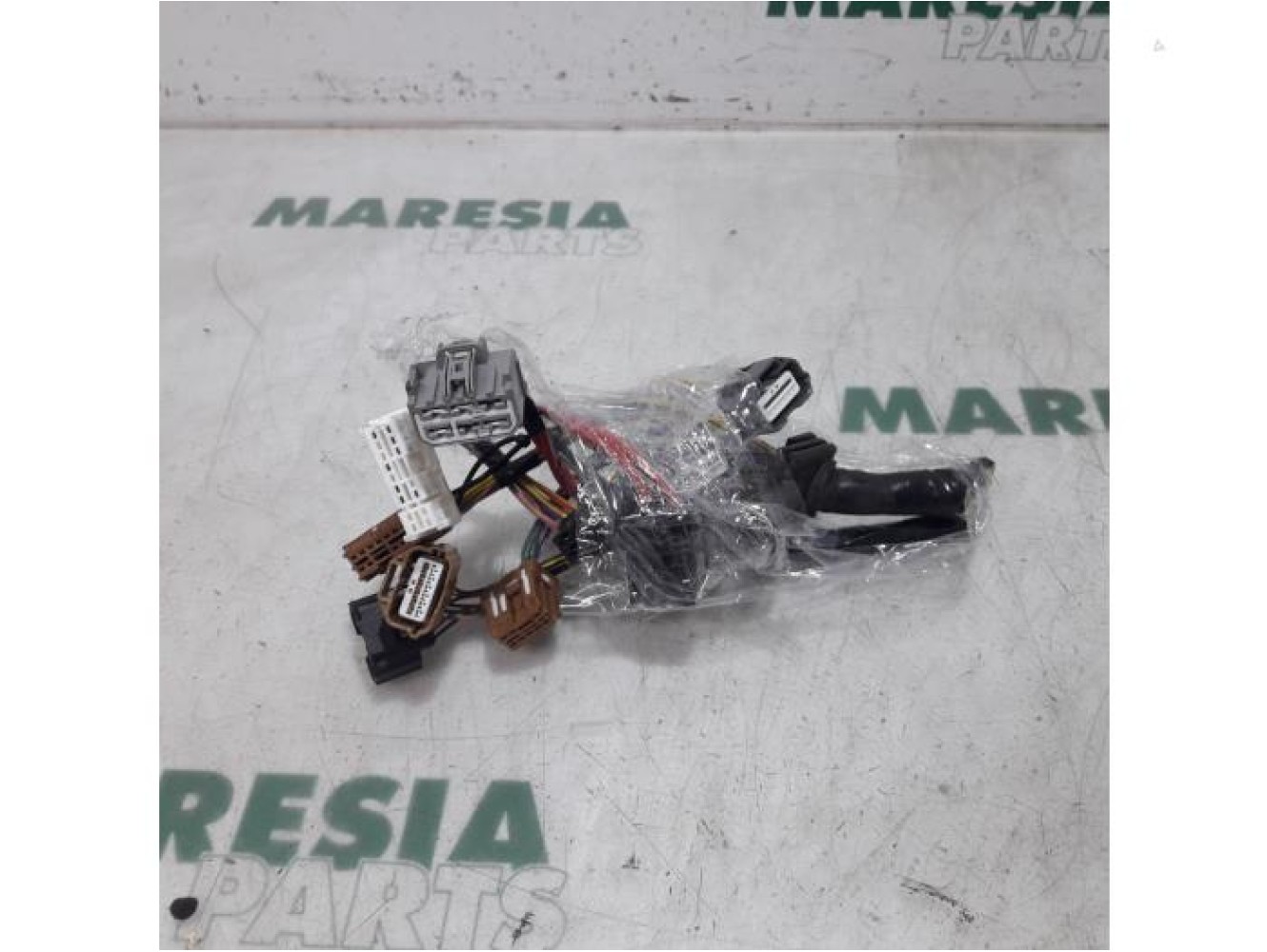 Renault - Megane Scenic - Wiring harness