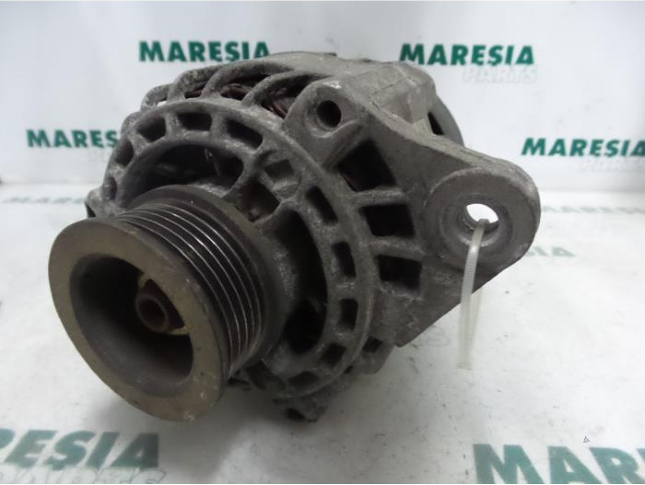 Fiat - Stilo - Dynamo