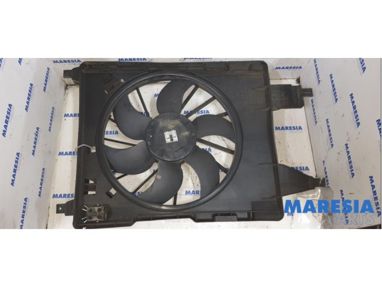 Renault - Megane Scenic - Kühlgebläse Motor