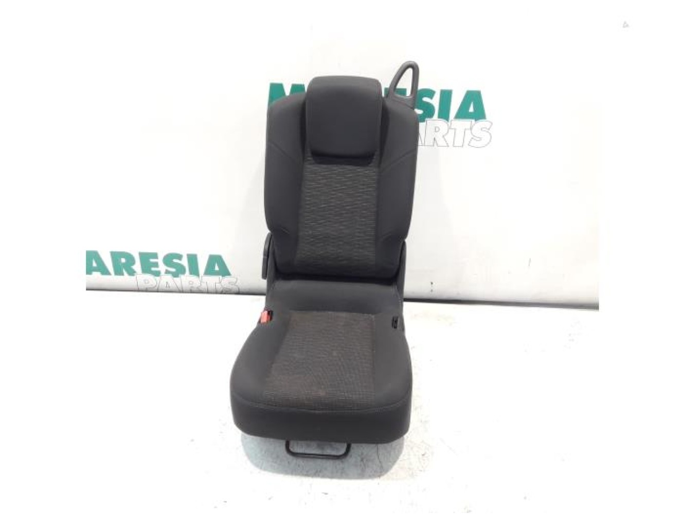 Renault - Megane Scenic - Rear seat