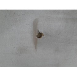 Fiat - Ducato - Cabin bulkhead
