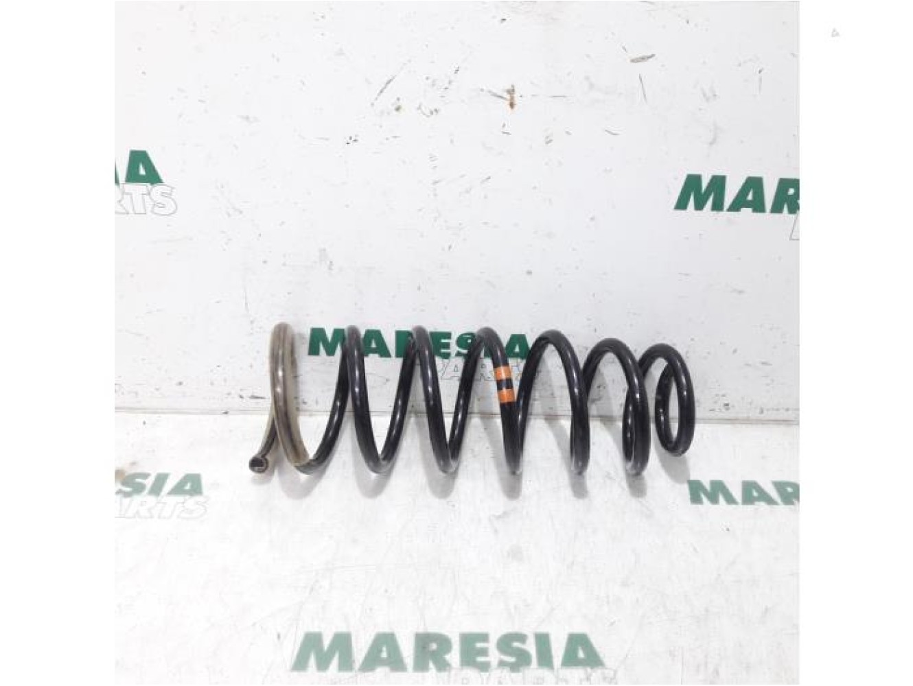 Peugeot - Expert - Rear coil spring