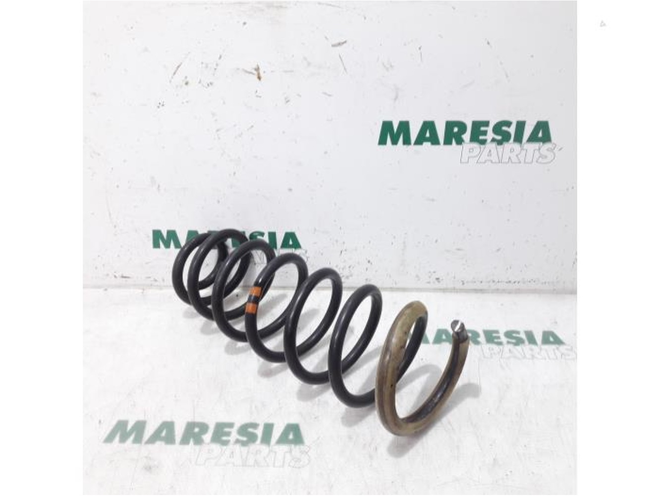 Citroen - Jumpy - Rear coil spring