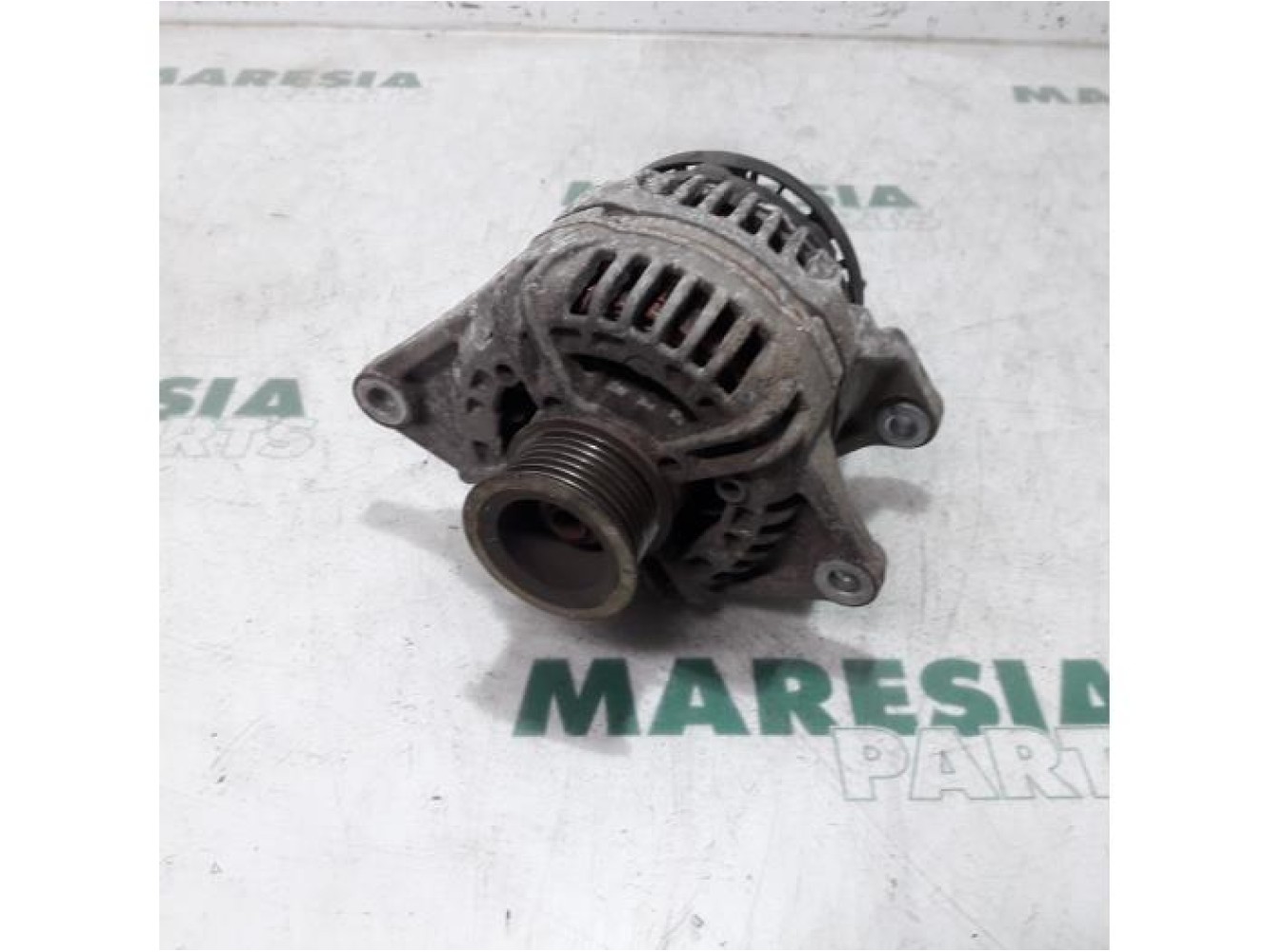 Fiat - Ducato - Dynamo