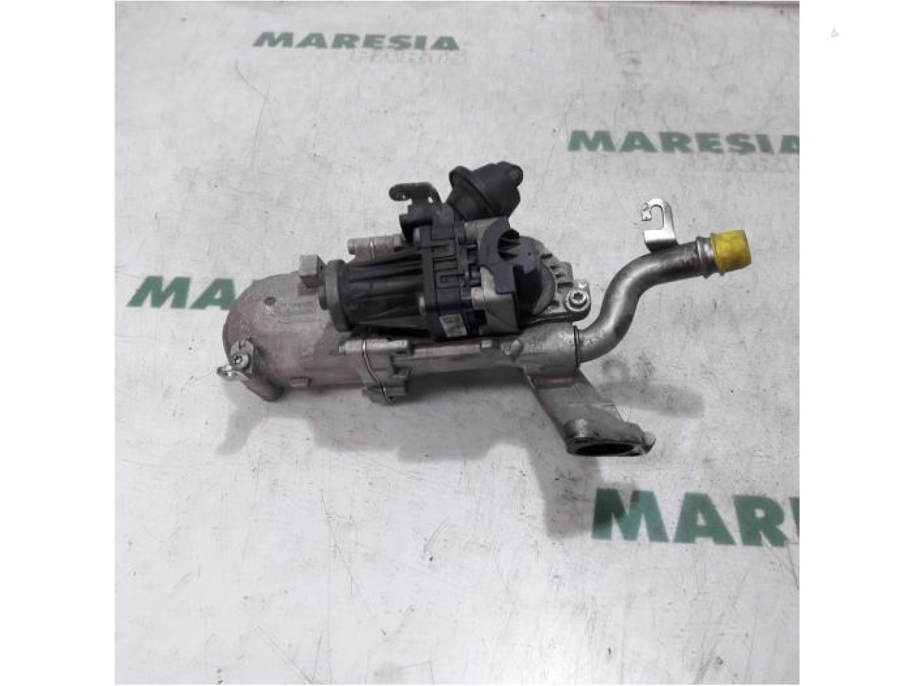 Citroen - Jumpy - EGR valve