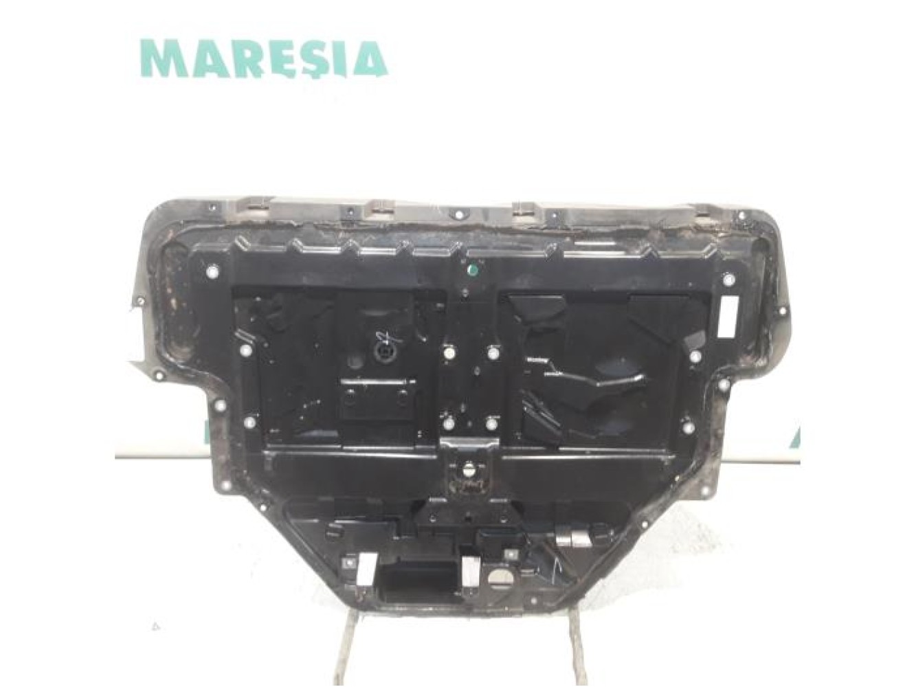 Renault - Scenic - Reservewielbak