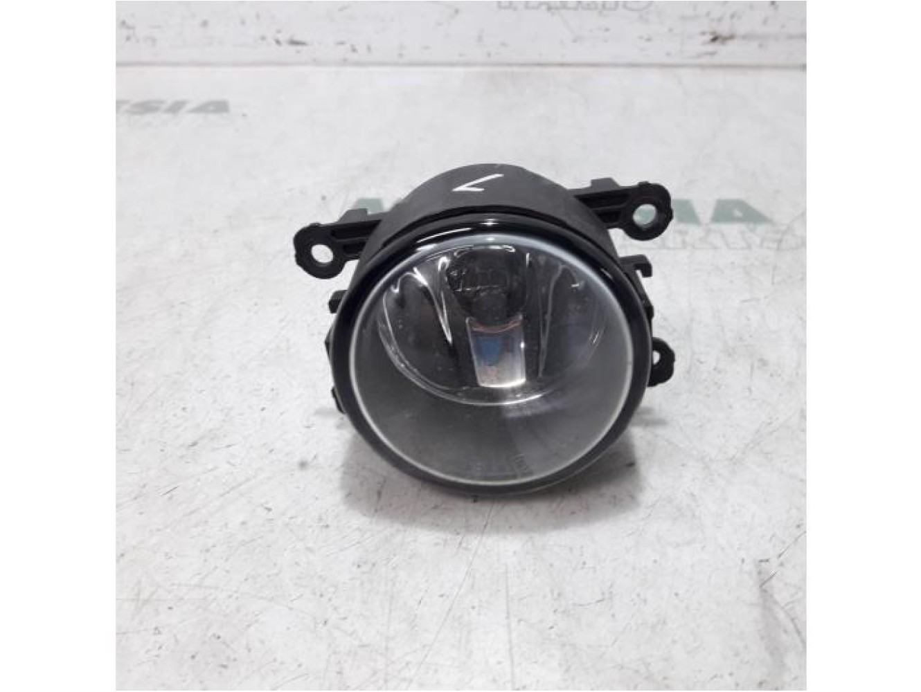 Renault - Scenic - Fog light, front left
