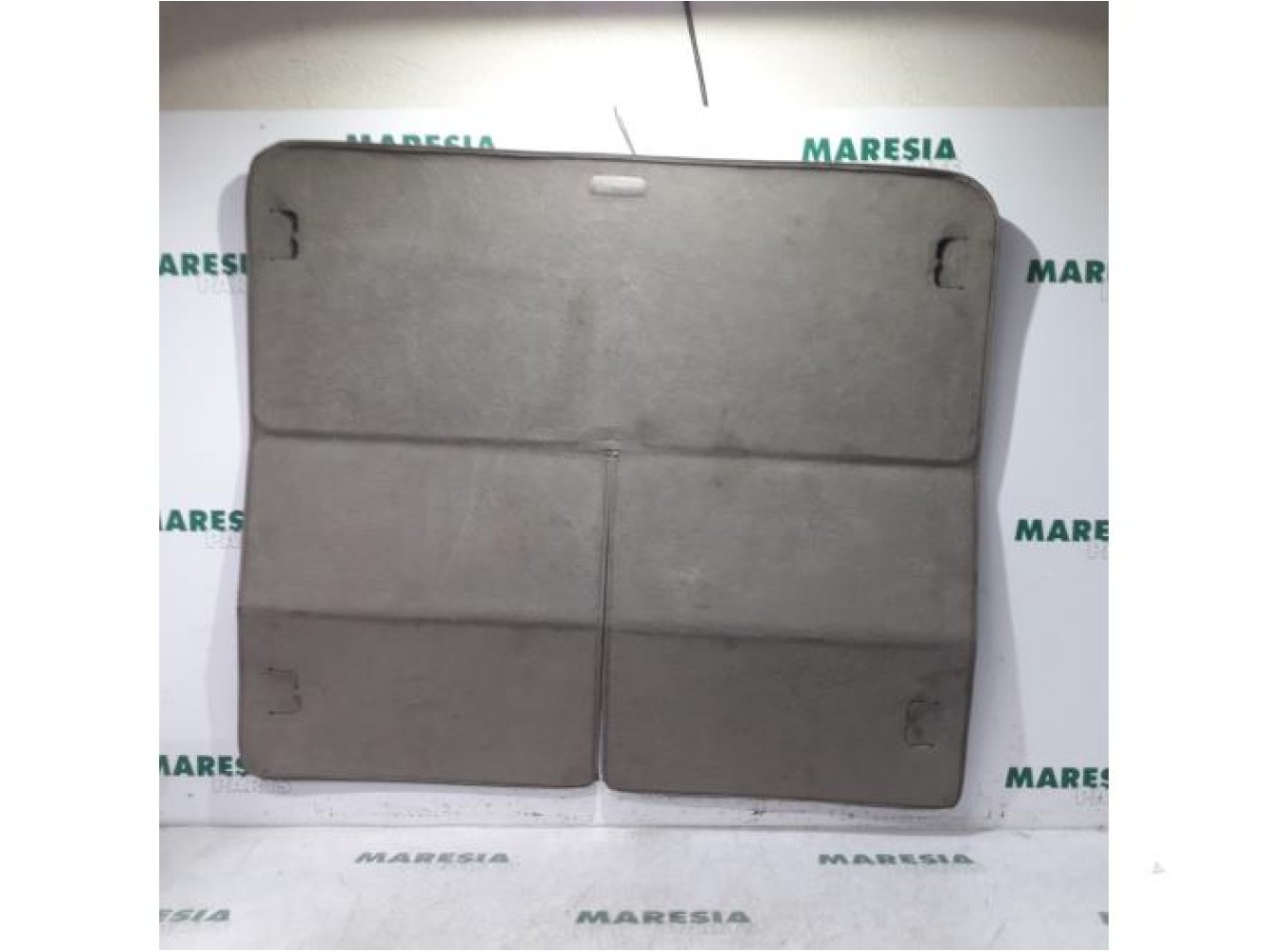 Renault - Scenic - Coffre tapis