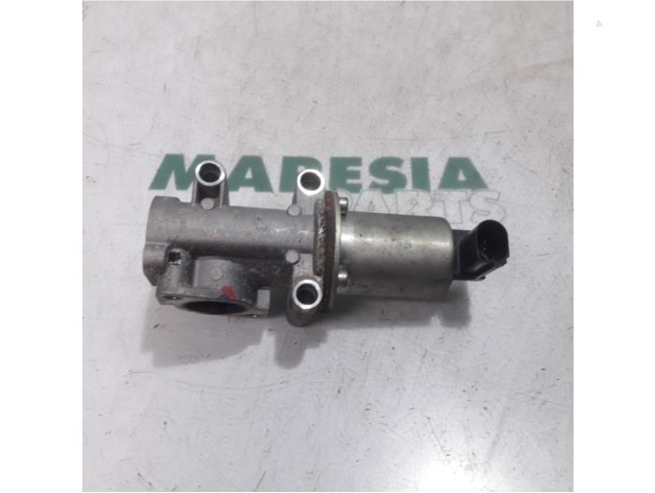 Fiat - Punto - EGR valve